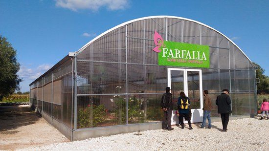 Farfalia - Casa delle farfalle